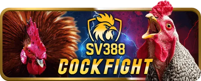Tin tức 89bet2